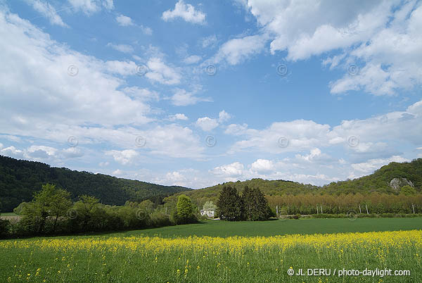 agriculture